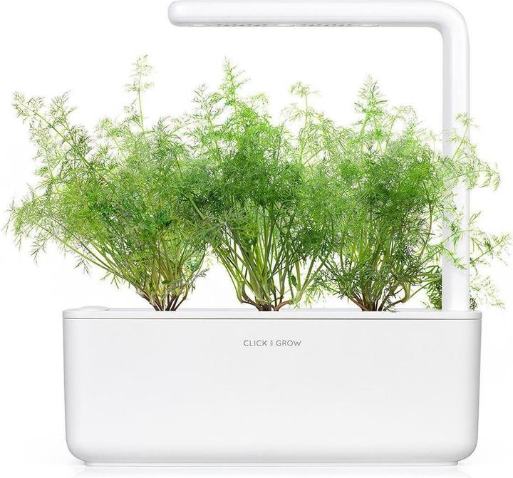 Productafbeelding Click and Grow Dille (Kruidenzaden)
