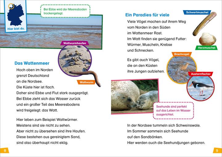 Produktbild Tessloff WAS IST WAS Erstes Lesen Band 21. Deutschland (Deutsch, Christina Braun, 2022)