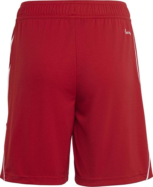 Actual product image adidas Tiro 23 training shorts kids (176)
