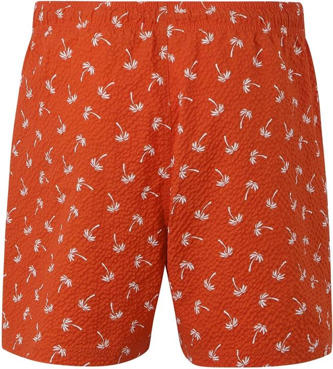 Immagine prodotto Regatta Loras Costume da Bagno a Pantaloncino Palmo Uomo (S)