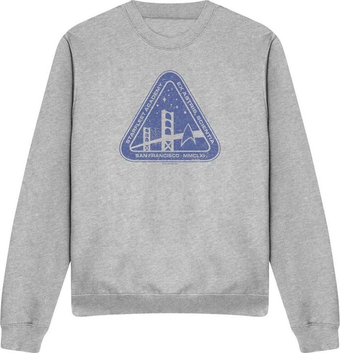 Actual product image Unisex Adult Distressed Logo Sweatshirt (XXL)