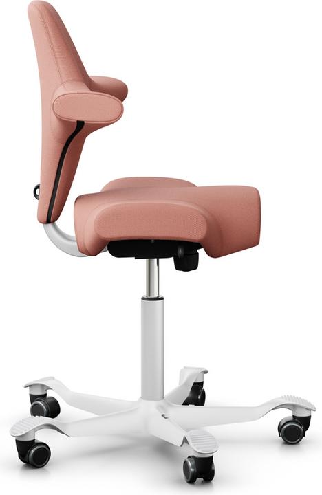 Image du produit HAG Capisco 8106