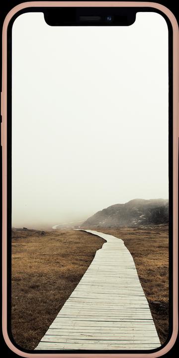 Image du produit dbramante1928 Greenland (Apple iPhone 13 Pro Max)