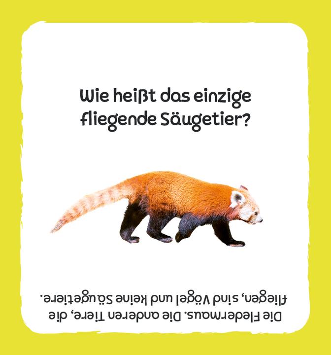 Actual product image Card box: The big quiz - Animals (German)