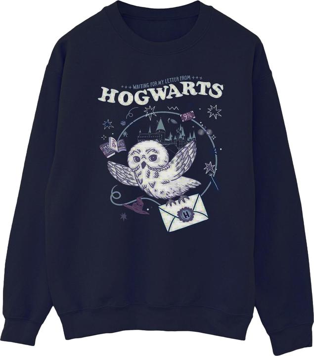 Image du produit - Sweat OWL LETTER FROM HOGWARTS - Homme (S)