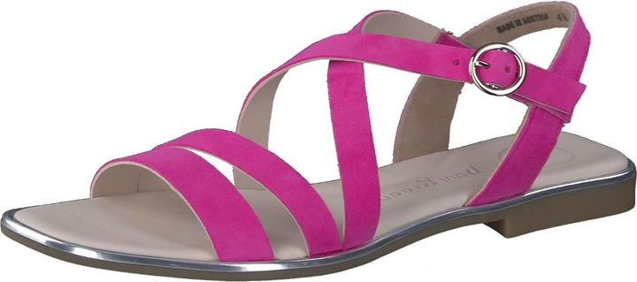 Samtziege Flamingo 025