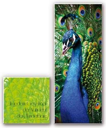 Image du produit Trenddeko Dans chaque créature de la nature (2 parties) (40 x 40 cm, 40 x 100 cm)