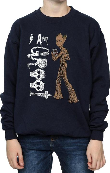Actual product image Boys Avengers Infinity War I Am Teenage Groot Sweatshirt (140, 146)