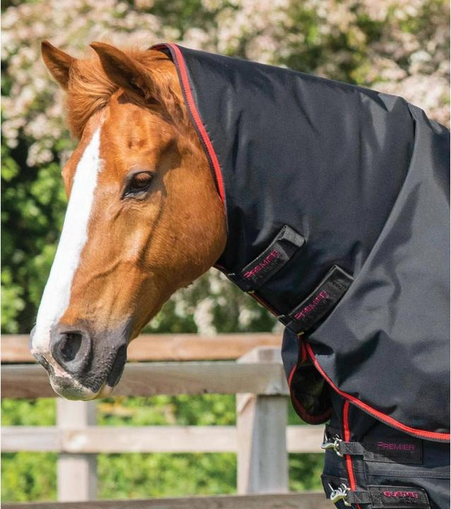 Actual product image Premier Equine Buster 250 g (152 cm)