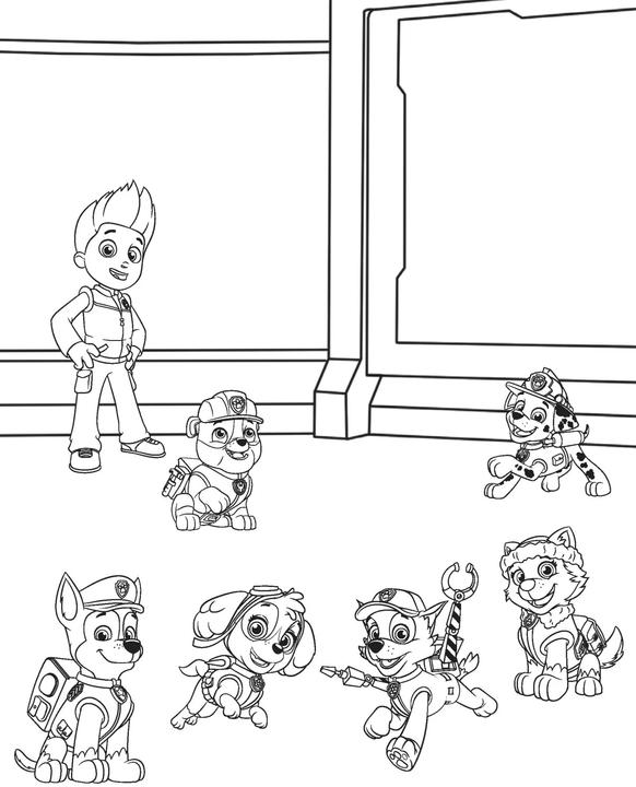 Actual product image PAW Patrol Water Magic - simply paint with water!