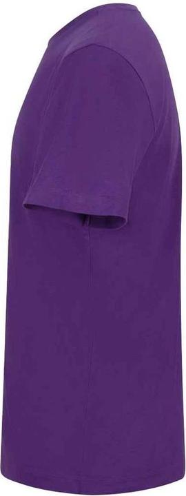 Actual product image Awdis Unisex Adult 150 T-Shirt (L)