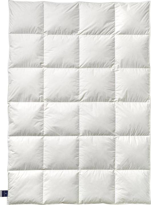 Image du produit Billerbeck Couette 306 Nena Mono medium, remplissage : 100% duvet d'oie (530 g, 135x200 cm)