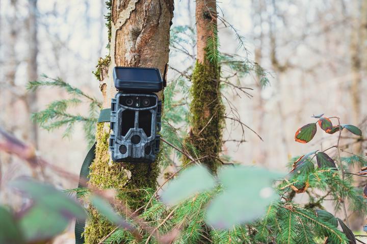 Produktbild Braun Photo Scouting Cam Black1320 Wifi Solar 4K DS