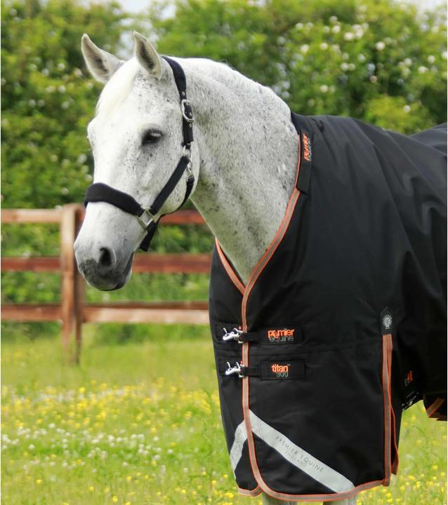 Produktbild Premier Equine outdoor-decke mit halsteil titan 300 g (168 cm)