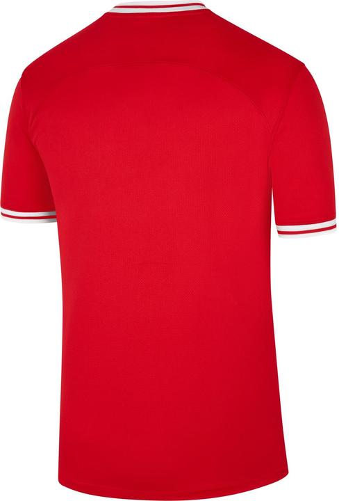 Image du produit Nike Pologne Maillot Coupe du Monde Extérieur (L)