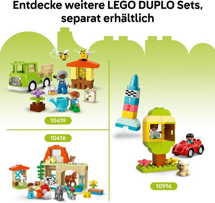 Actual product image LEGO Kreativer Blumengarten (10444)