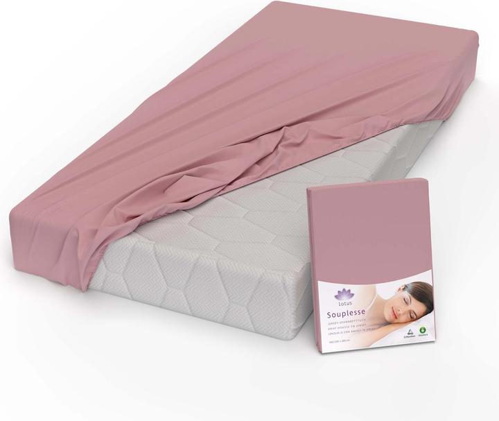 Immagine prodotto Lotus Bettwaren Lenzuolo matrimoniale in jersey Souplesse (100 x 200 cm, 90 x 190 cm)