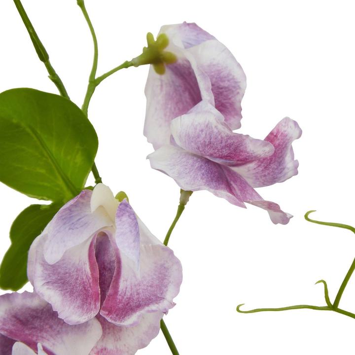 Actual product image Hill Interiors The Natural Garden Collection Sweetpea Artificial Flower (61 cm)