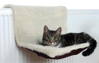 Immagine prodotto Trixie Principe (Gatto)