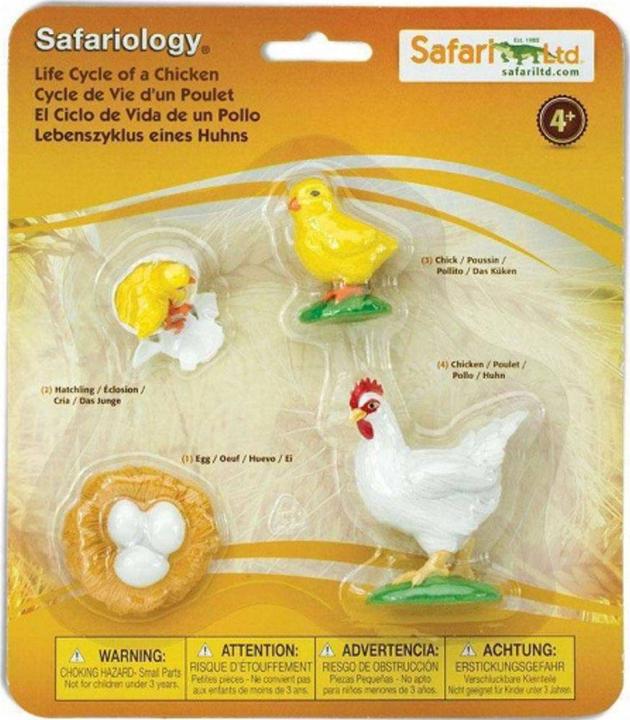 Actual product image Safari Life cycle of a chicken