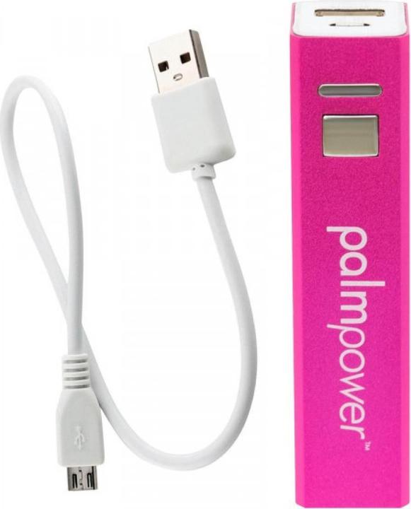 Produktbild Palmpower Massagestab
