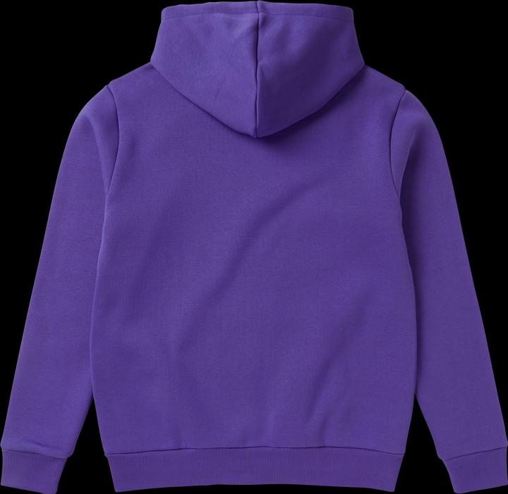 Immagine prodotto Mystic Icon Hood Sweat (XL)