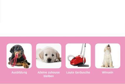 Actual product image Adaptil Collar Junior, adjustable (Dog)