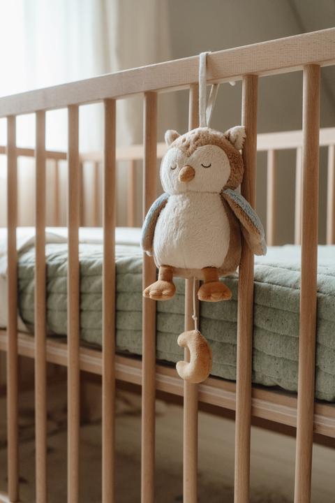 Image du produit Little Dutch Boîte à musique Hibou Forest Friends