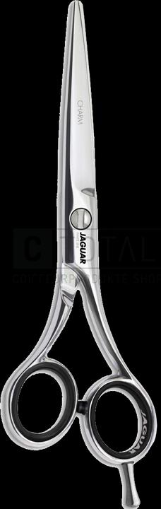 Produktbild Jaguar HS 36575 Charm (14.61 cm)