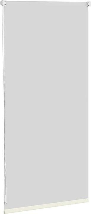 Image du produit VidaXL Rollo (40 x 100 cm)