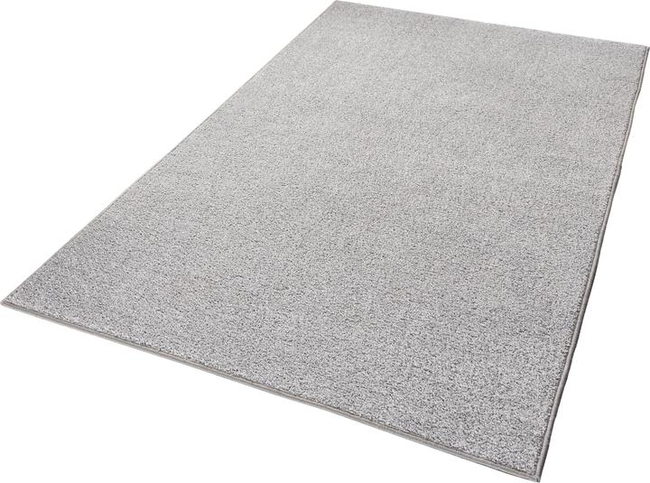 Immagine prodotto Hanse Home Puro (240 x 160 cm)