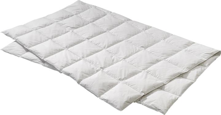 Immagine prodotto Billerbeck Edition Elwine Light (620 g, 200 x 210 cm)