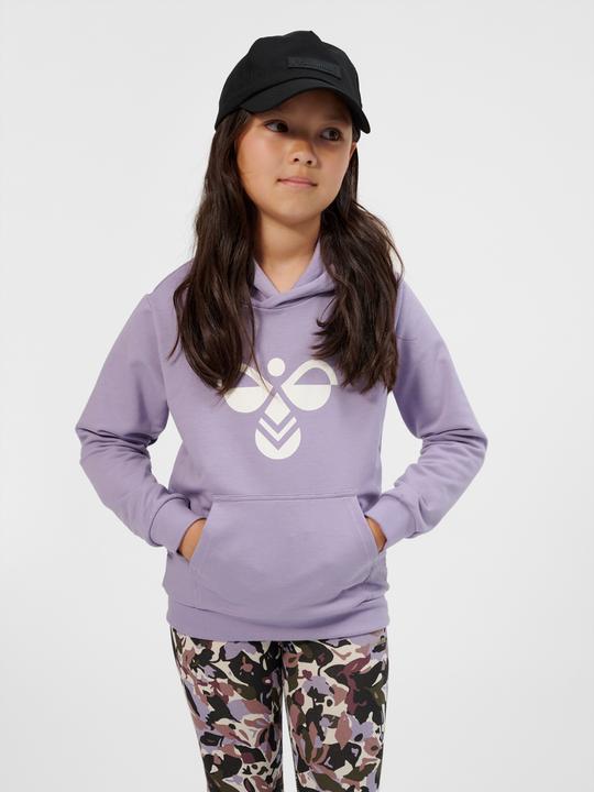 Image du produit hummel hmlCUATRO HOODIE (176)