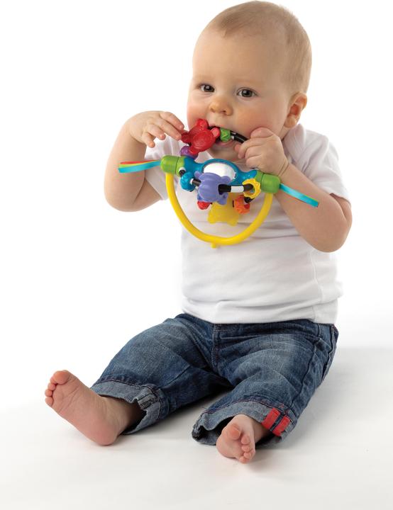 Actual product image Playgro Turning rattle