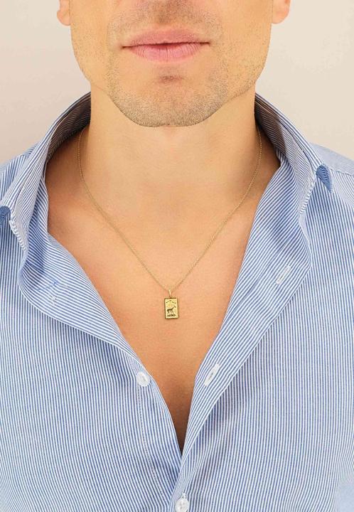 Image du produit Muau Capricorne (Or jaune 750/18K)