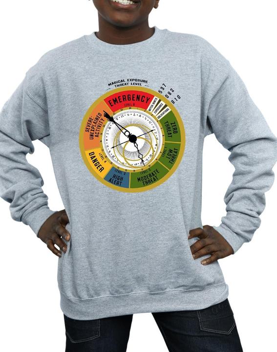 Image du produit Fantastic Beasts - Sweat THREAT LEVEL - Garçon (128)