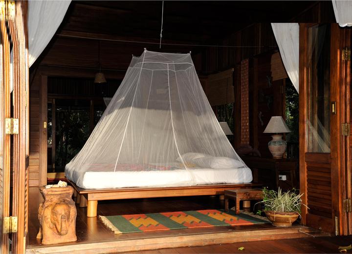 Actual product image Cocoon Mosquito Travel Net Single