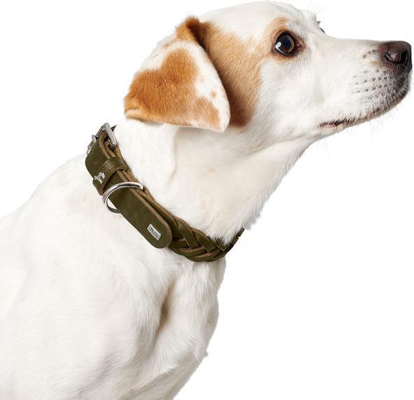 Image du produit Hunter Collier Solid Education Special (35, 36, 37, 38, 39, 40, 41, 42, 43, 44, Chien)