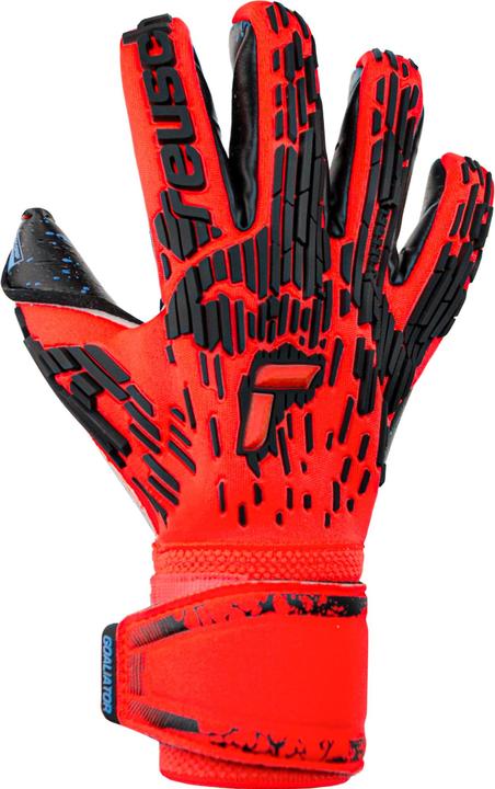 Image du produit Reusch Gants de gardien de but Attrakt Freegel Fusion Goaliator (10.5)