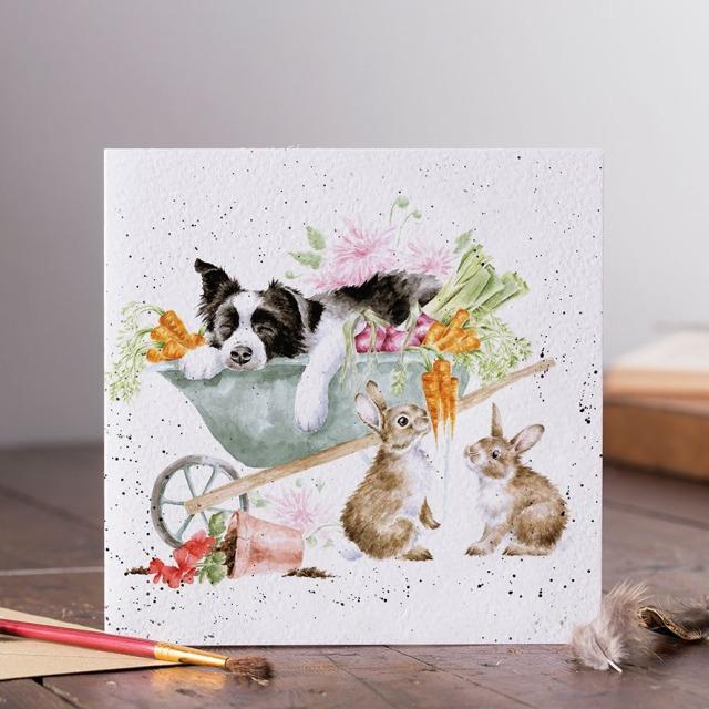 Produktbild Wrendale Design Karte - Collie SLEEPING ON THE JOB Wrendale Designs (1 Stk.)