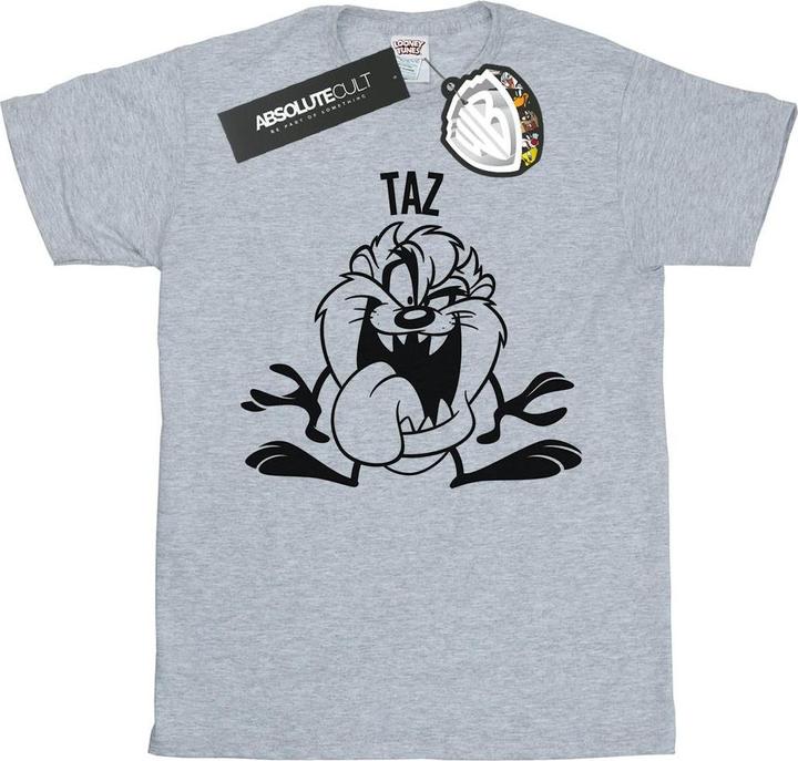Actual product image Looney Tunes Womens/Ladies Taz Large Head Cotton Boyfriend T-Shirt (XL)