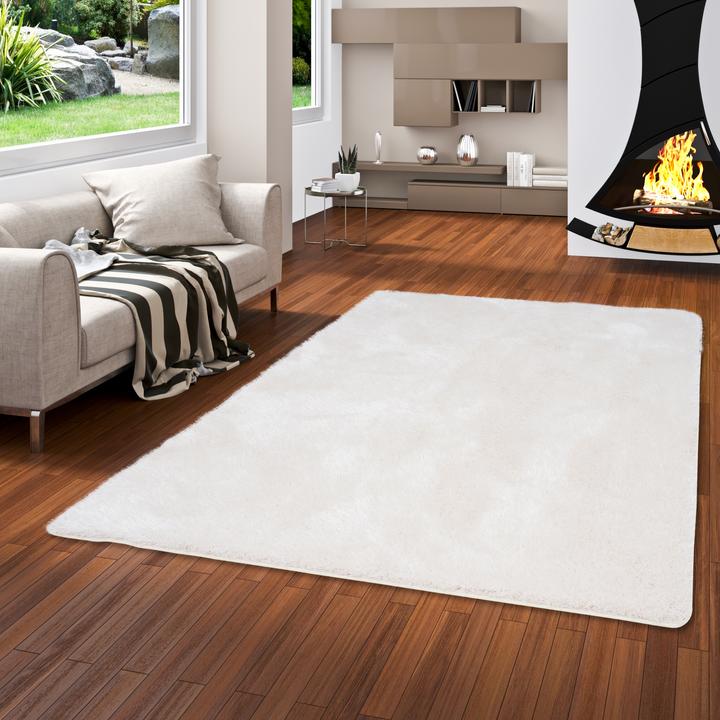 Immagine prodotto Snapstyle Tappeto Shaggy a pelo alto Mix di sensazioni di lusso (80 x 160 cm)