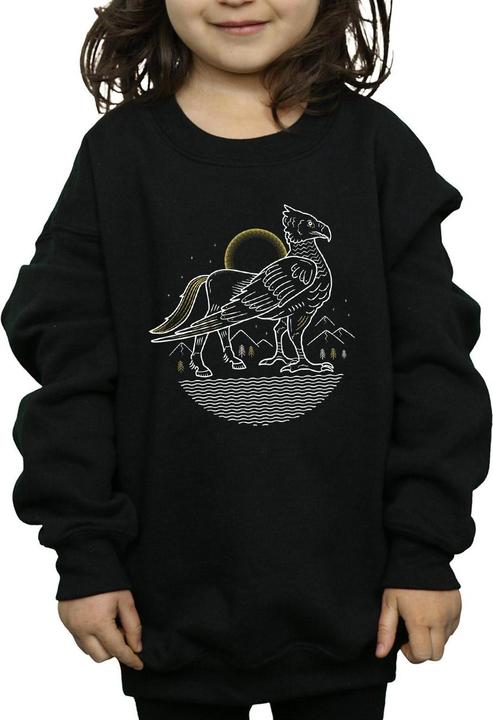 Image du produit - Sweat BUCKBEAK LINE ART - Fille (152, 158)