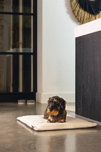 Actual product image Designed by Lotte Nalino (Dog)