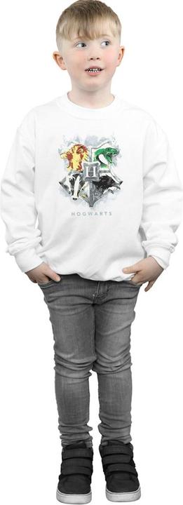 Actual product image Boys Hogwarts Painted Crest Sweatshirt (128)