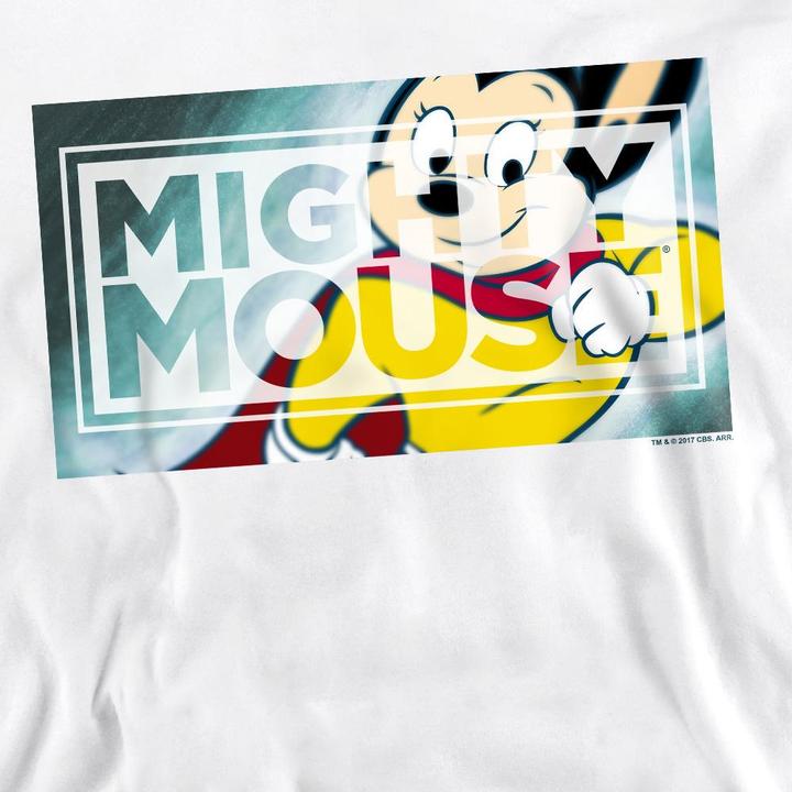 Actual product image Fruit of the Loom Unisex Adult Mighty Rectangle Sweatshirt (XXL)