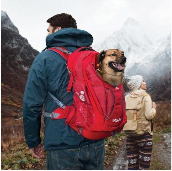 Immagine prodotto Kurgo G-Train K9 (Cane, Chiusura di sicurezza)