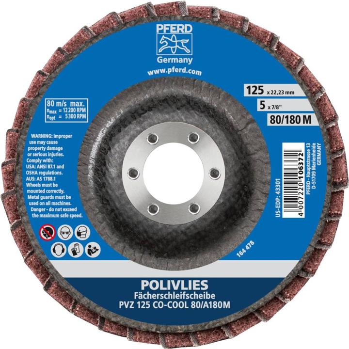 Actual product image Pferd Fächerschleifscheibe (80, 100)