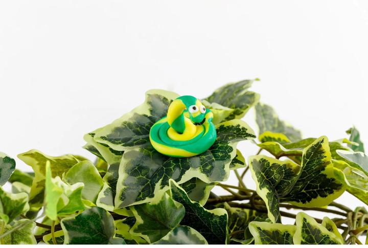 Actual product image Darwi Plasticine SOFTY