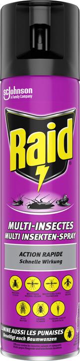 Raid Multi Insekten-Spray (400 ml)